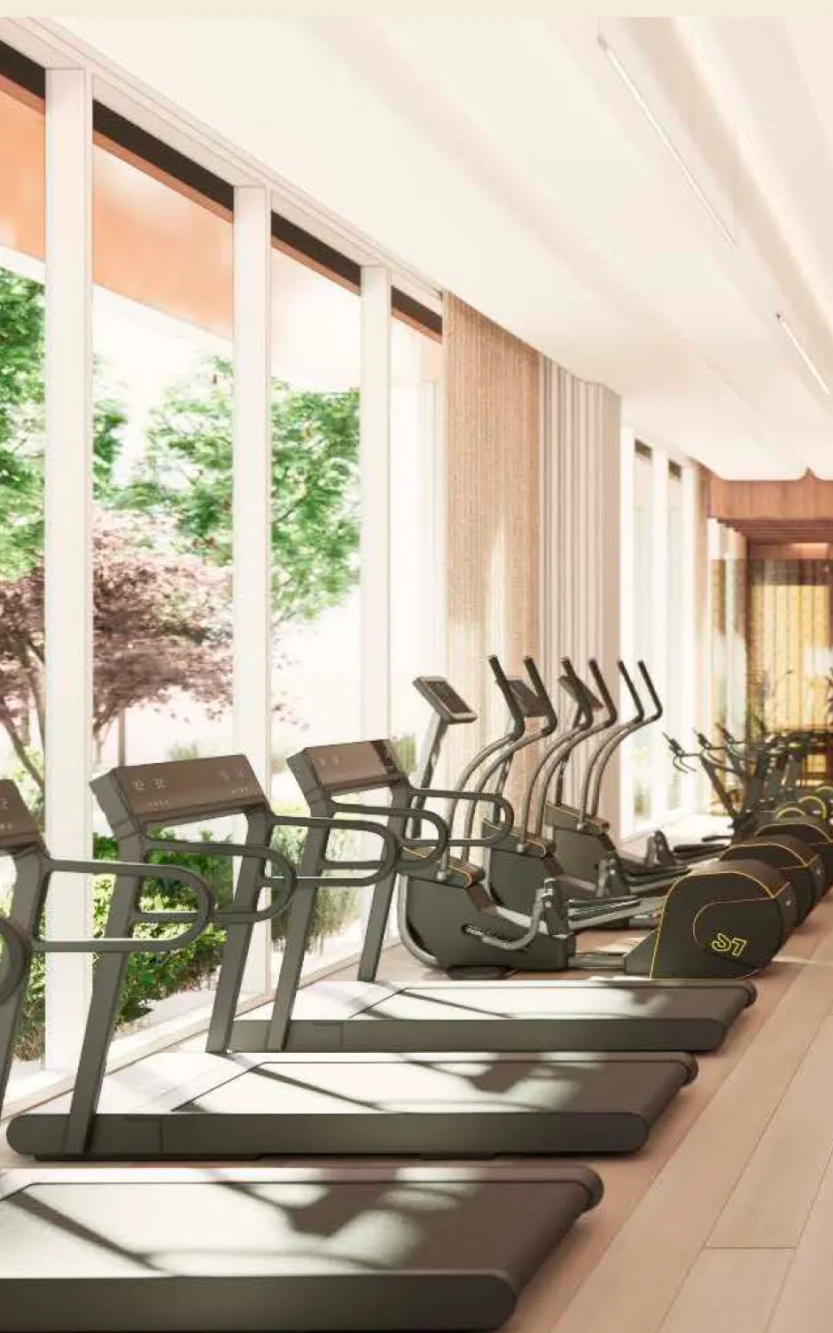 Sleek gym interior featuring high-end cardio machines lined along a sunlit floor-to-ceiling glass wall